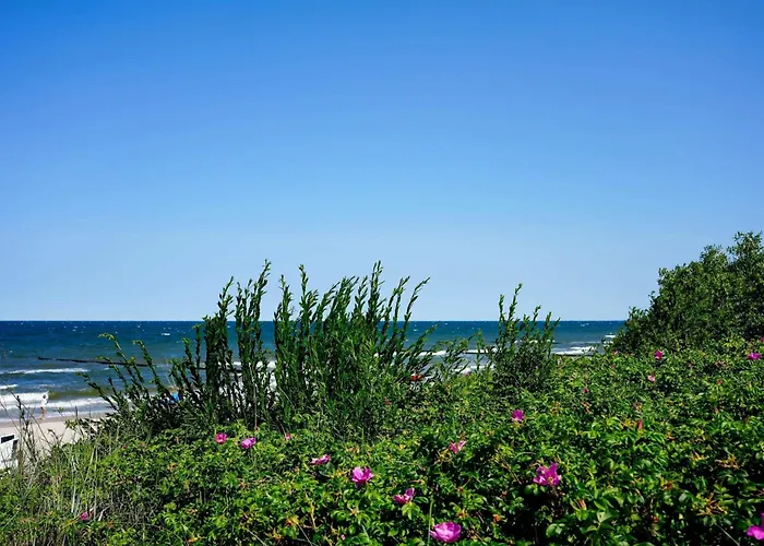 Appartementanlage Seeblick, App 202 * 코세로우